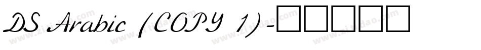 DS Arabic (COPY 1)字体转换